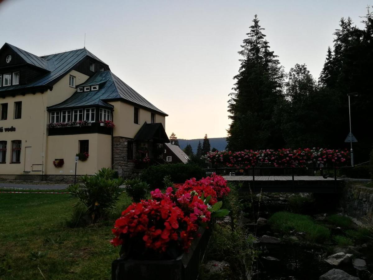 Penzion Bila Voda Harrachov Exteriör bild