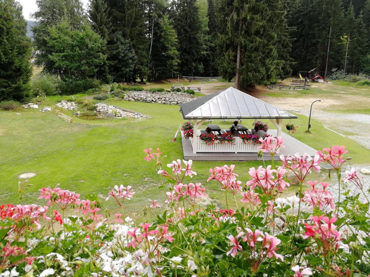 Penzion Bila Voda Harrachov Exteriör bild