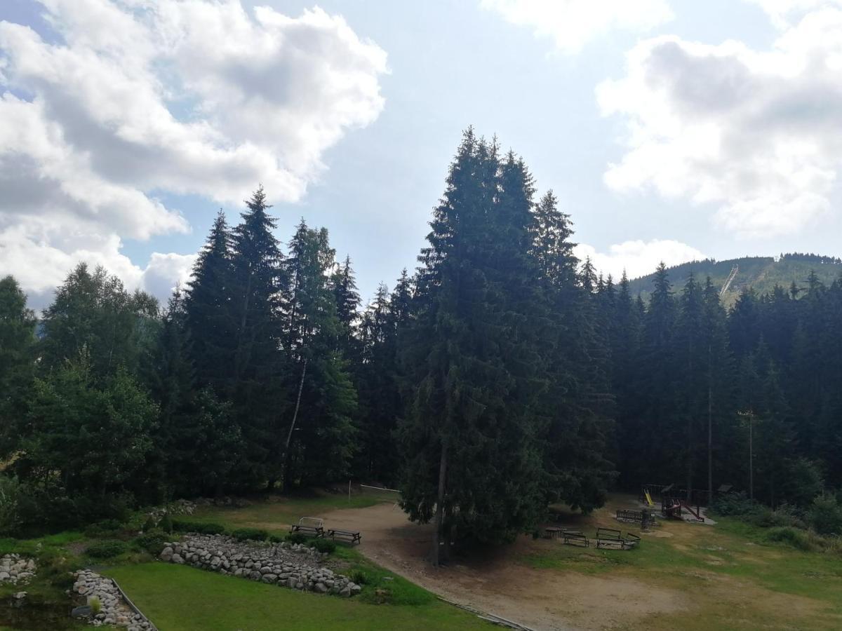 Penzion Bila Voda Harrachov Exteriör bild