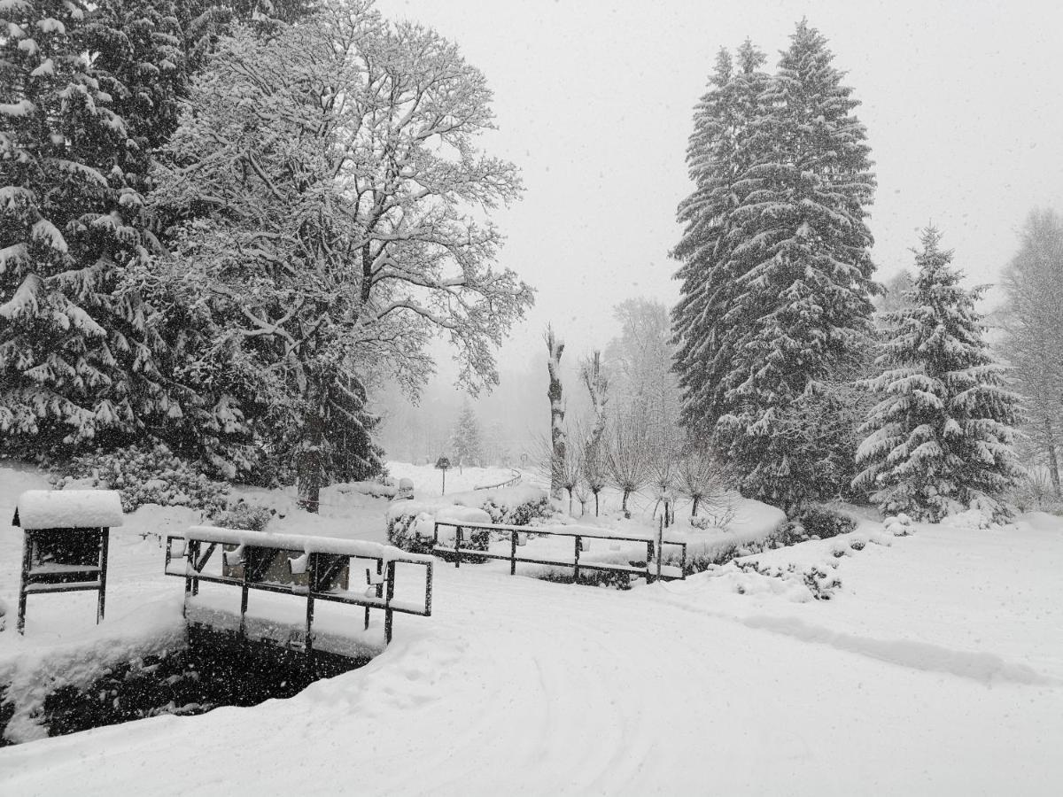 Penzion Bila Voda Harrachov Exteriör bild